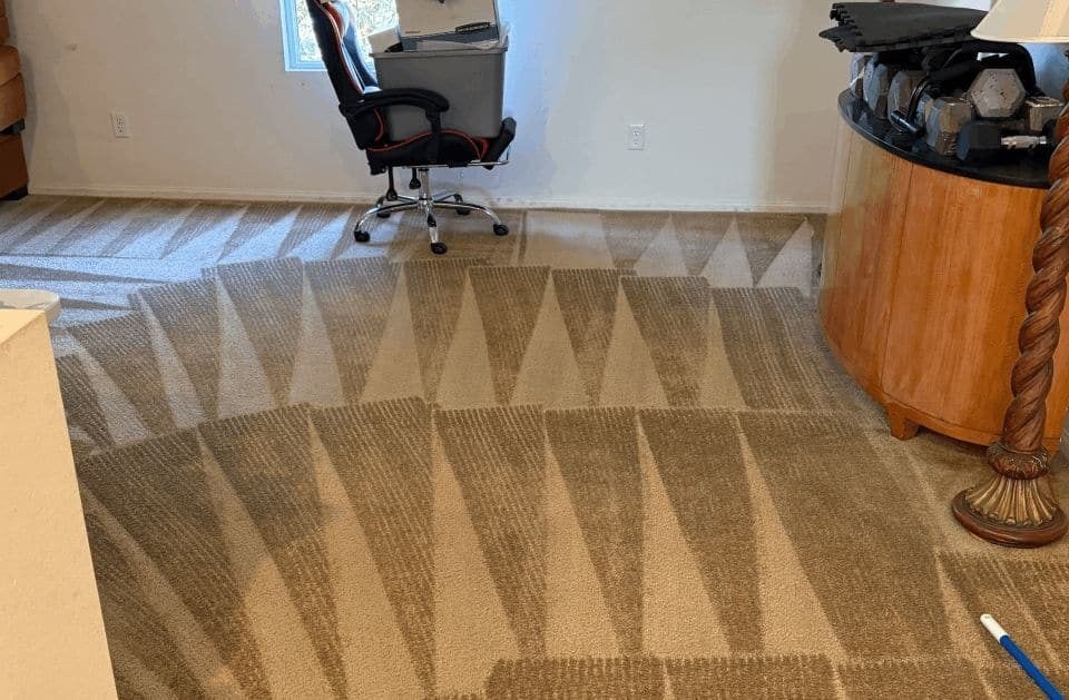 K&A Carpet Cleaning fresh extraction stripes in an office carpet