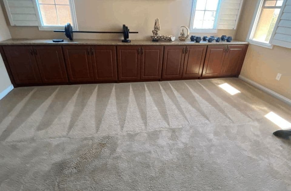 K&A Carpet Cleaning freshly cleaned living room carpet